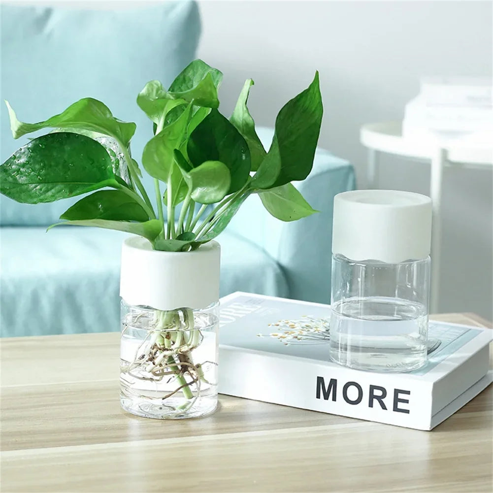 Mini Hydroponic Self-Watering Desktop Plant Pot Decor