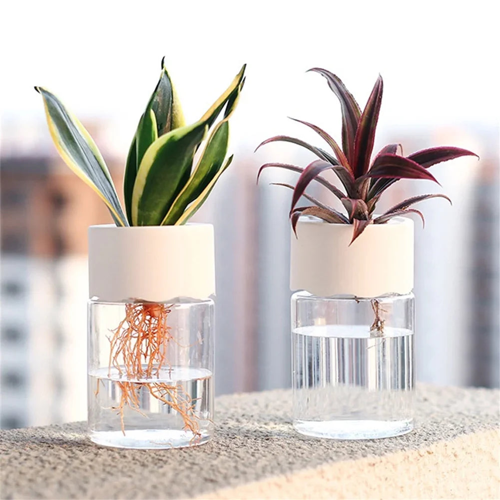 Mini Hydroponic Self-Watering Desktop Plant Pot Decor