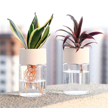 Mini Hydroponic Self-Watering Desktop Plant Pot Decor