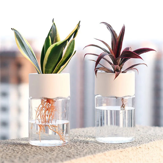 Mini Hydroponic Self-Watering Desktop Plant Pot Decor
