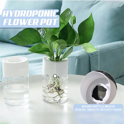 Mini Hydroponic Self-Watering Desktop Plant Pot Decor