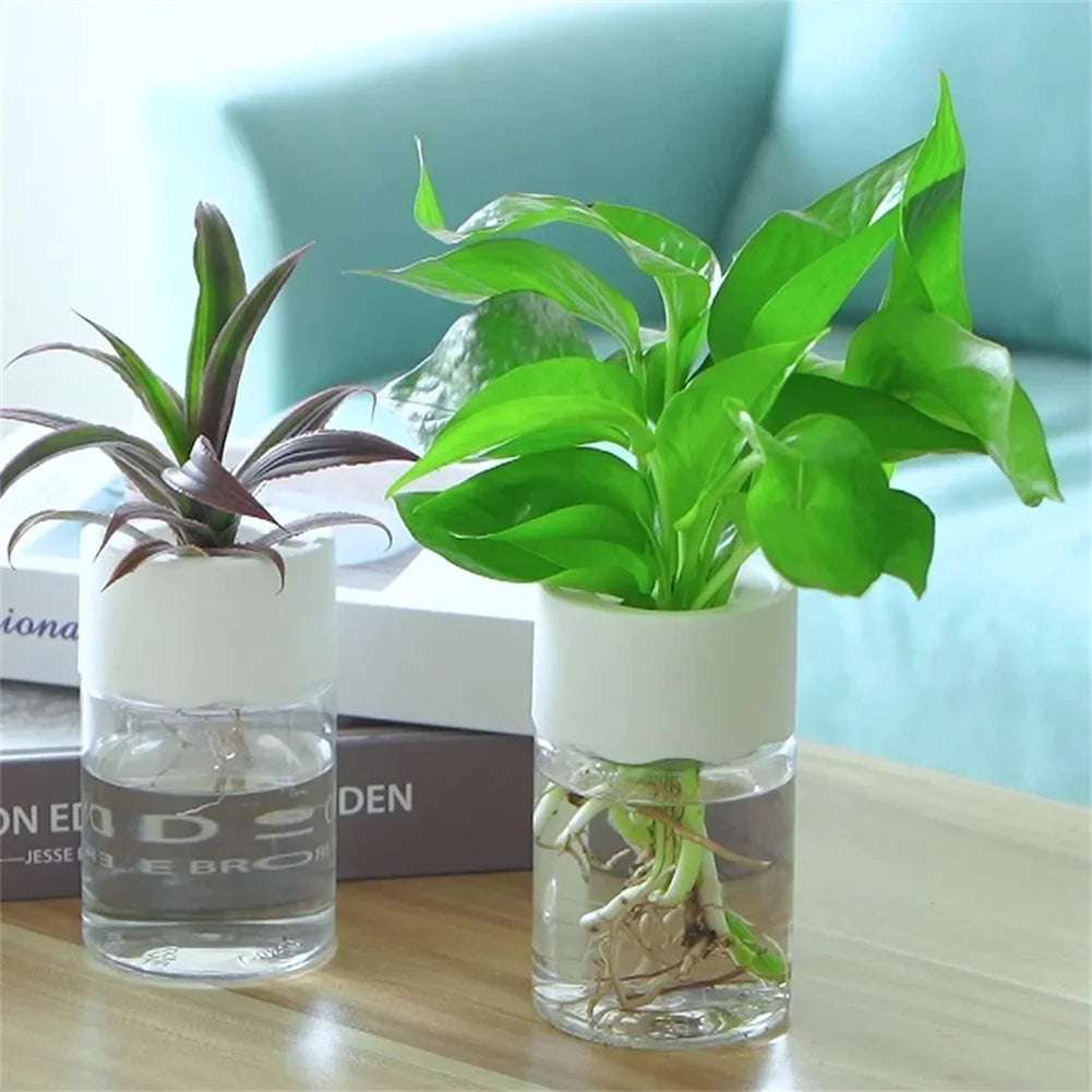 Mini Hydroponic Self-Watering Desktop Plant Pot Decor